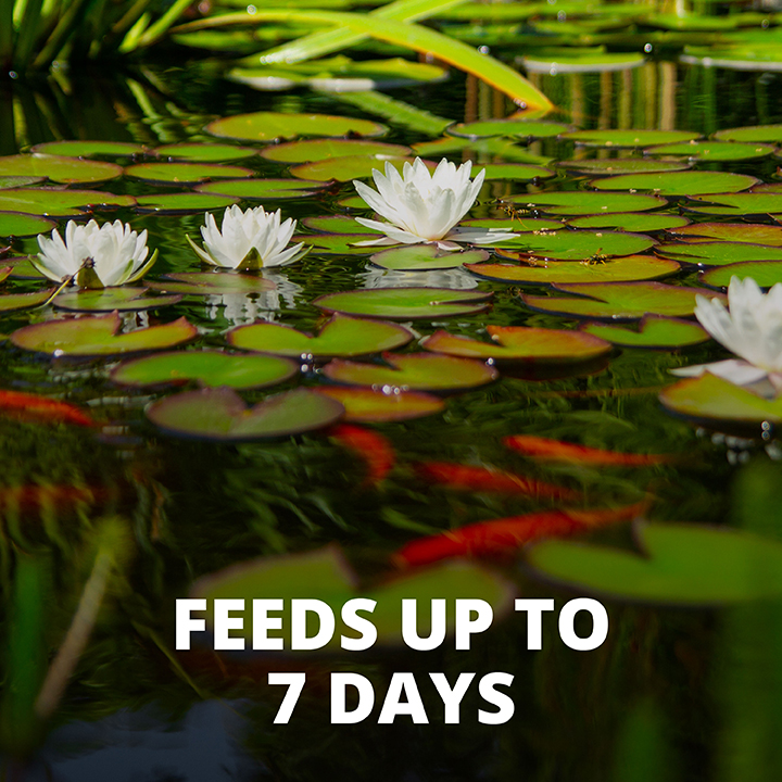 Tetra pond vacation food online